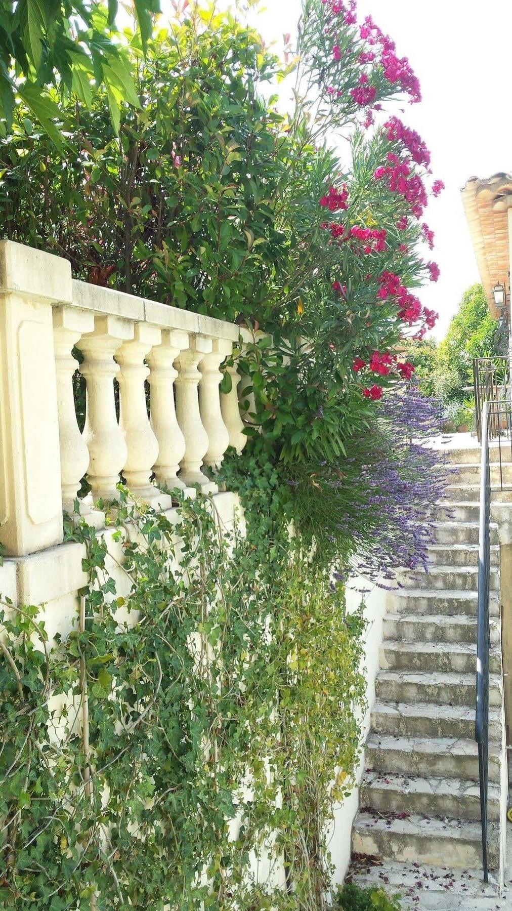 La Muse Du Paradis Montauroux Buitenkant foto